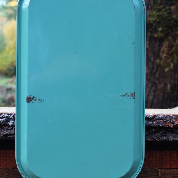 Vintage Tin Litho Serving TV Tray, Jade, Mint, Green, Camellia Blossom Design - Picture 6 of 14